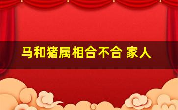 马和猪属相合不合 家人